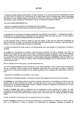 MITOSIS La mitosis (también llamada carioquinesis o