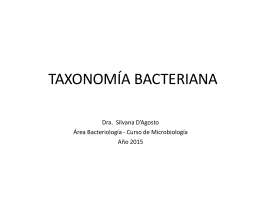 Clasificación de las bacterias, nomenclatura y taxonomía