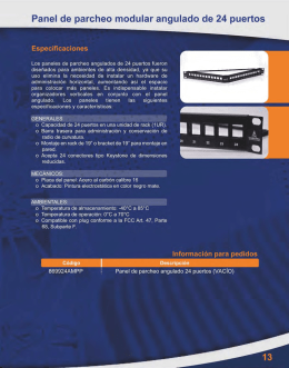 Panel de parcheo modular angulado de 24 puertos