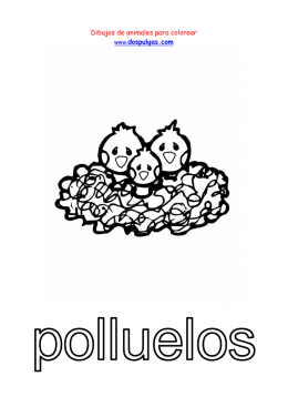 polluelos