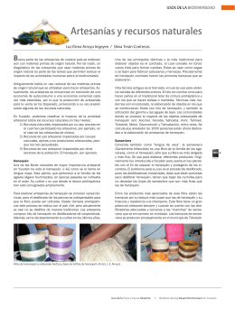 Artesanías y recursos naturales. Formato PDF