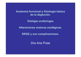 Anatomía funcional y fisiología basica de la deglución.