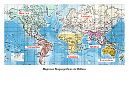 Regiones Biogeográficas de Wallace Neártica Neotropical