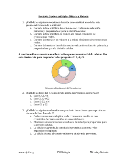 Multiple Choice Review – Mitosis & Meiosis