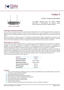 Ficha técnica del Teldat V