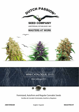 Feminized, AutoFem and Regular Cannabis Seeds