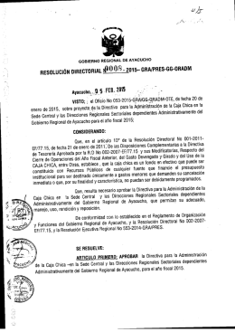4/ - Gobierno Regional de Ayacucho