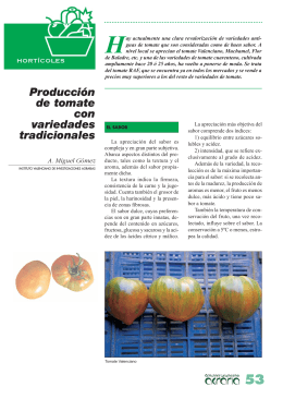 producción de tomate con variedades tradicionales