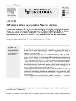 Nefrectomía parcial laparoscópica. Aspectos técnicos