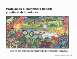Protejamos el patrimonio natural y cultural de Honduras