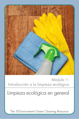 Limpieza ecológica en general