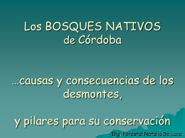 Ponencia Los Bosques Nativos en Cordoba, por Natalia De Luca