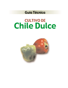 Guia Chile