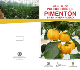 Manual de producción de pimentón bajo invernadero