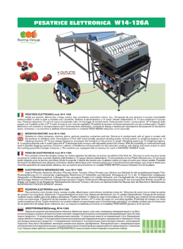 PESA`I`RICE ELETTRONICA WÍ4- 126A
