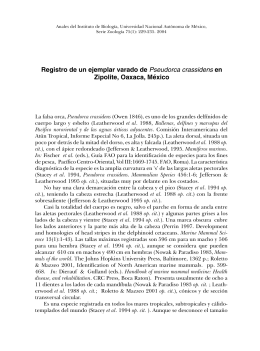 Registro de un ejemplar varado de Pseudorca crassidens en