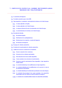 07. Impuesto Especial sobre determinados Medios de Transporte