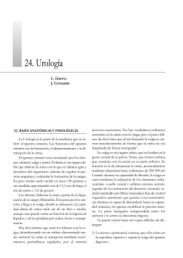 24. Urología - Sociedad Española de Farmacia Hospitalaria
