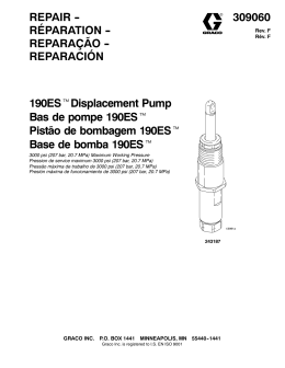 309060F 190ES Displacement Pump, Repair