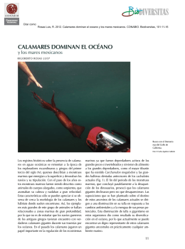 CALAMAreS dOMINAN eL OCéANO - calocean