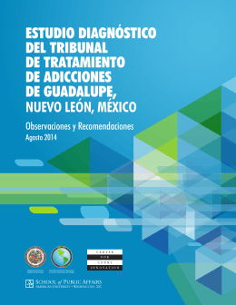 A Diagnostic Study of the Addiction Treatment Court in