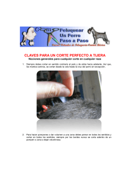 5. Claves Para Un Corte Perfecto a Tijera