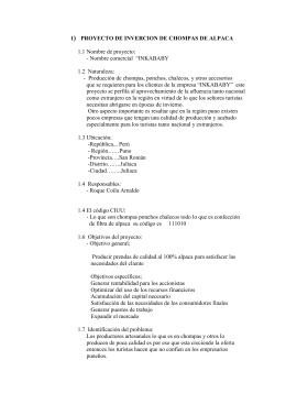 1) PROYECTO DE INVERCION DE CHOMPAS DE