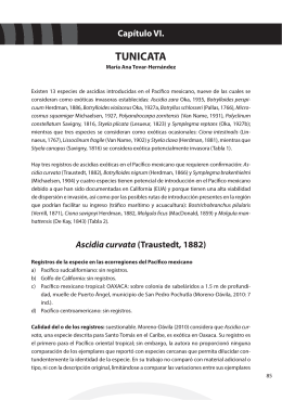 Capítulo VI. TUNICATA - Instituto Nacional de Ecología