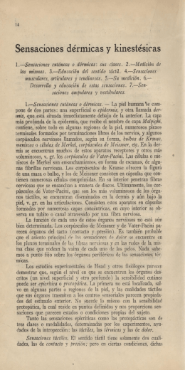 Sensaciones dérmicas y kinestésicas