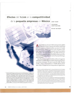 Efectos del TLCAN en la competitividad de la pequeña empresas en