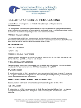 ELECTROFORESIS DE HEMOGLOBINA
