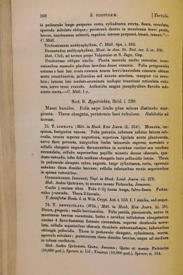 Page 1 »E `IGS il TÜRTUI-E-"É- Íiu`fu in, iu peduucuiu lung
