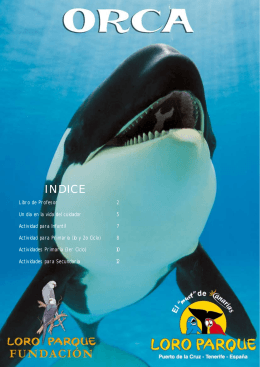 Orcas - Loro Parque