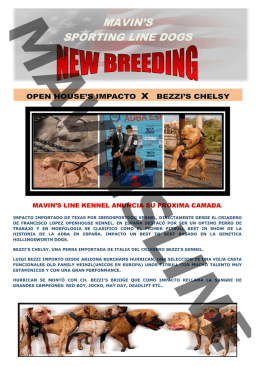 mavin`s line kennel a cia su pr xima camada