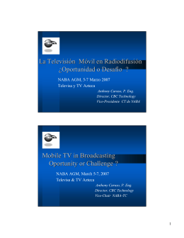 Mobile TV in Broadcasting Oportunity or Challenge