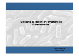 El desafío de identificar correctamente Enterobacterias.