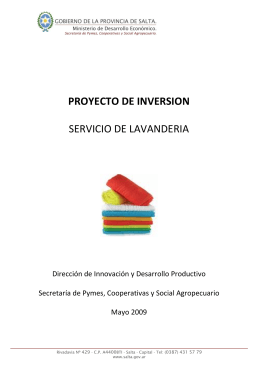PROYECTO DE INVERSION SERVICIO DE LAVANDERIA