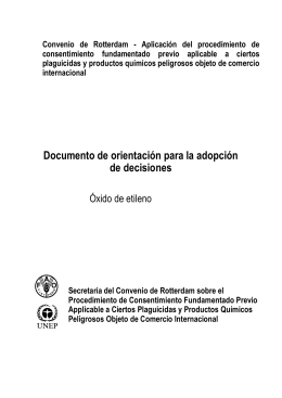 Documento de orientación para la adopción de decisiones