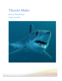 Tiburón Mako