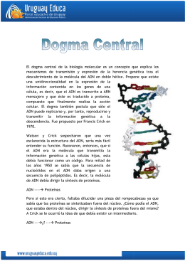 DOGMA CENTRAL - Uruguay Educa