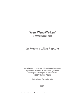 Lea más (PDF archivo) - Centro de Documentación Ñuke Mapu