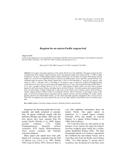 Requiem for an eastern Pacific seagrass bed