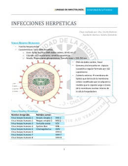 Infecciones herpéticas - Universidad de La Frontera