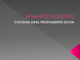 Sistema Digestivo Parte I - Facultad de Medicina