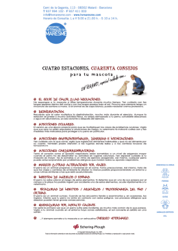 Prevención en verano - Hospital Veterinari del Maresme