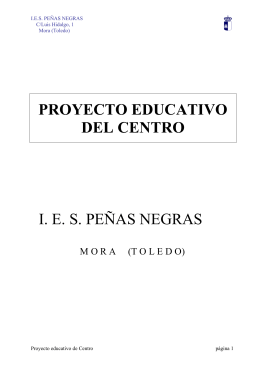 PROYECTO EDUCATIVO