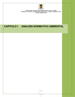 CAPITULO I ANALISIS NORMATIVO AMBIENTAL