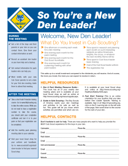 So You`re a New Den Leader!