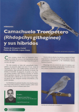 Nuevo Documento de Microsoft Word