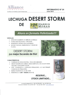 LECHUGA DESERT STORM - Alliance Semillas Chile